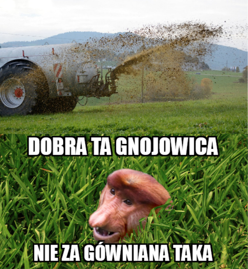 Dzieło sztuki #88