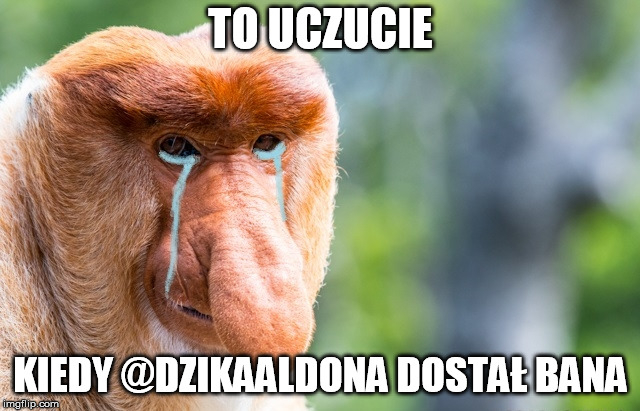 Dzieło sztuki #132