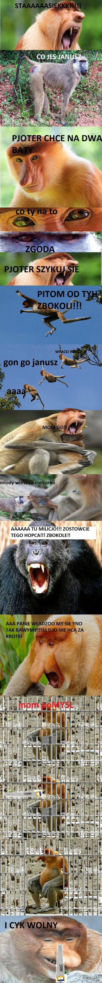 Dzieło sztuki #139