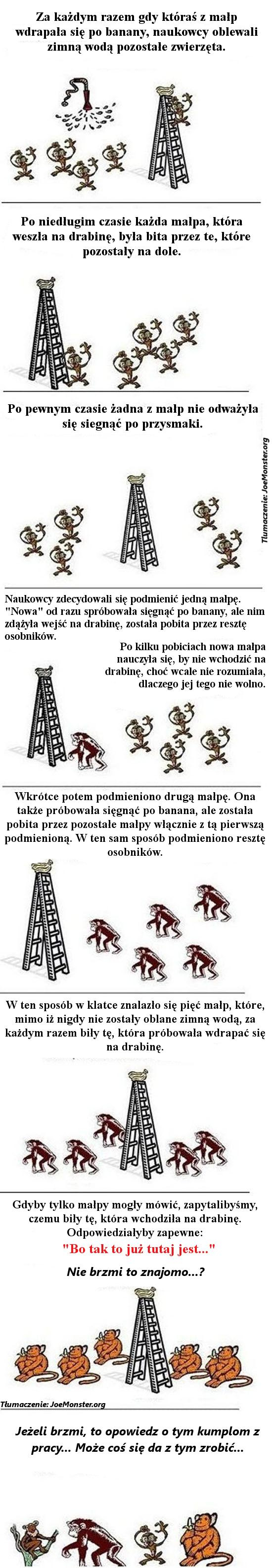 Dzieło sztuki #2508