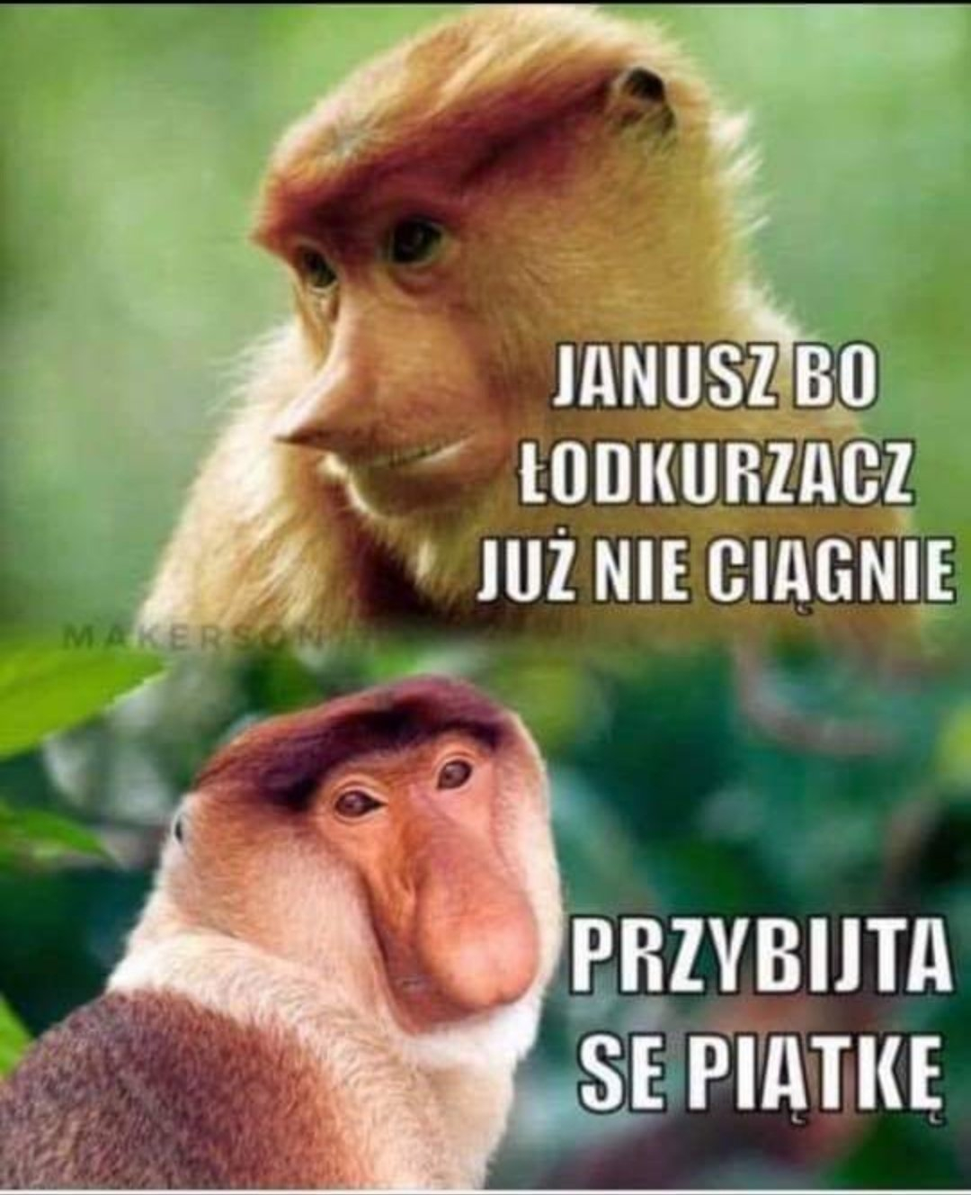 Dzieło sztuki #715