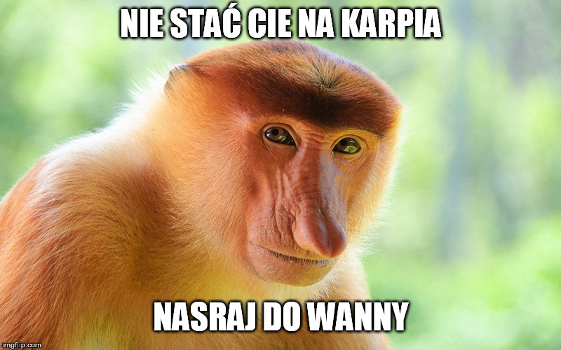Dzieło sztuki #938