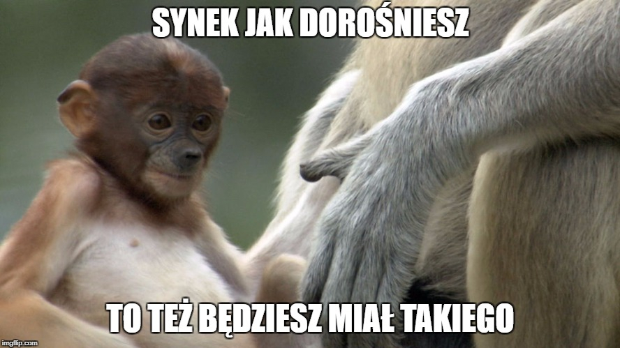 Dzieło sztuki #1644