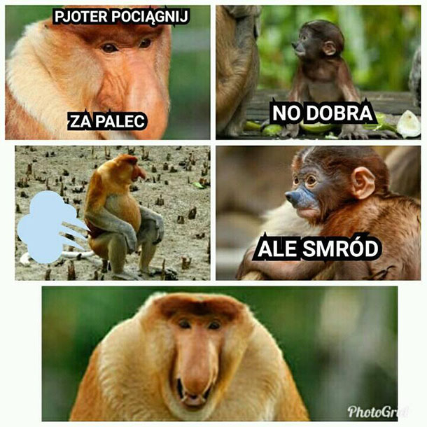 Dzieło sztuki #1638