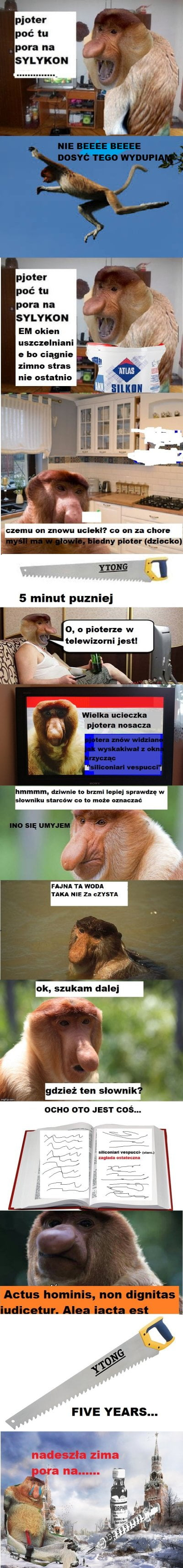 Dzieło sztuki #1164