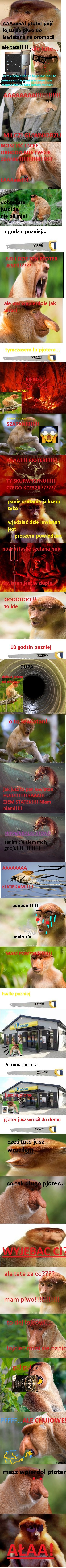 Dzieło sztuki #1447