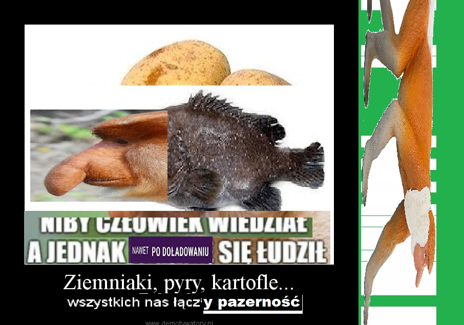 Dzieło sztuki #1523
