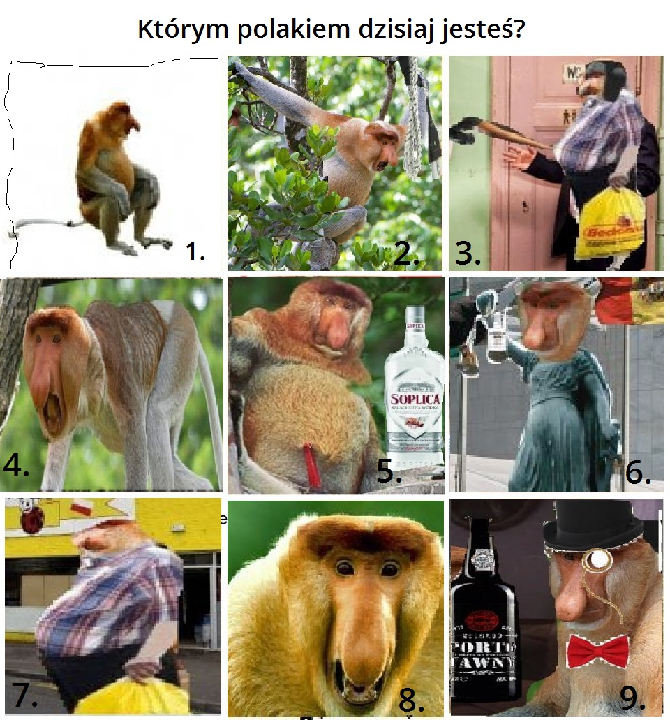 Dzieło sztuki #1578