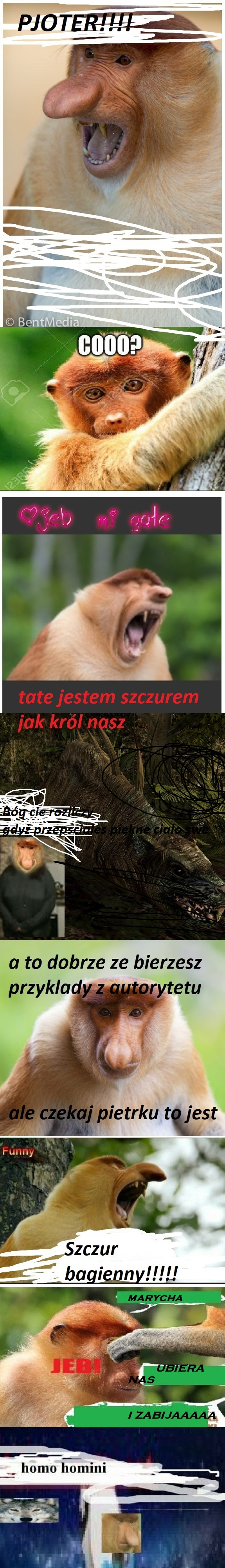 Dzieło sztuki #1789