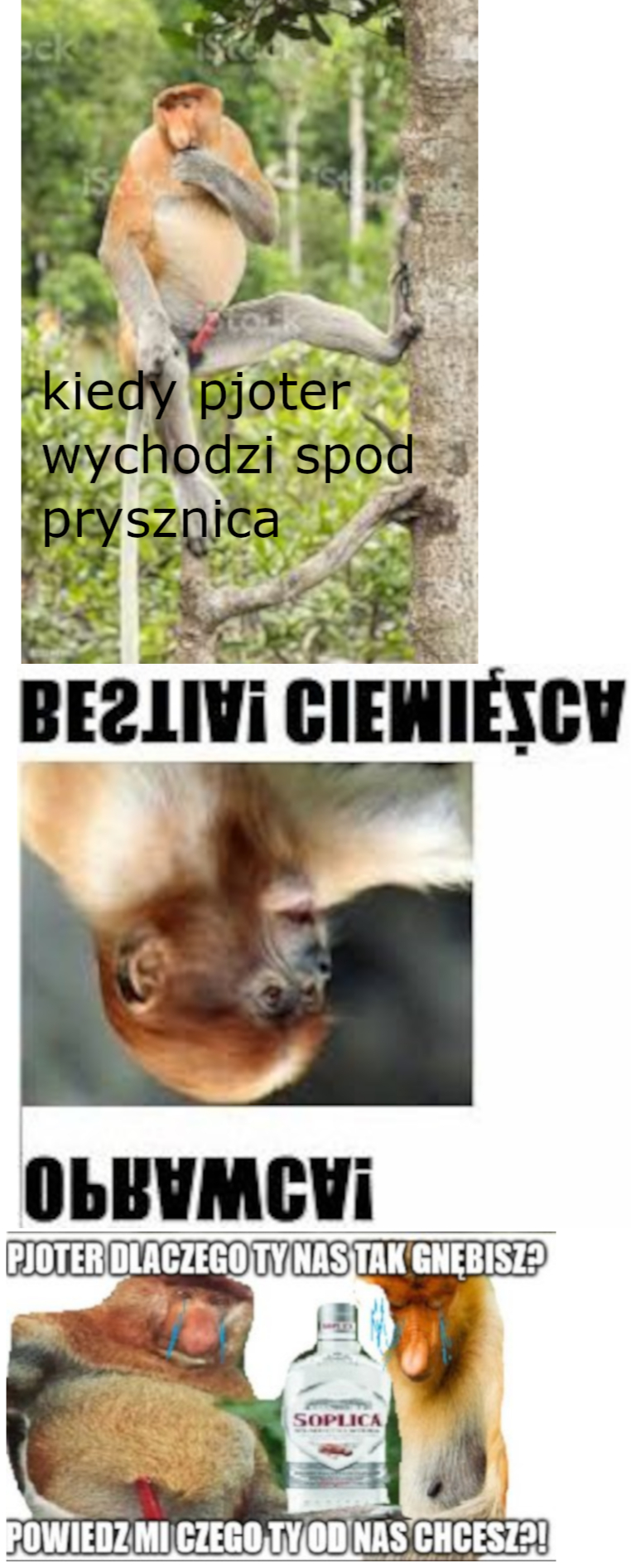 Dzieło sztuki #1818