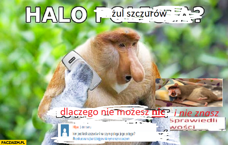 Dzieło sztuki #2304