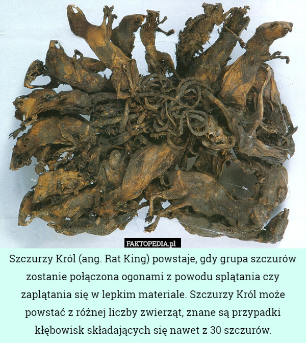 Dzieło sztuki #1947