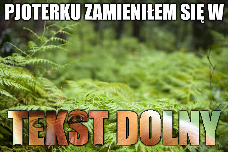 Dzieło sztuki #1953