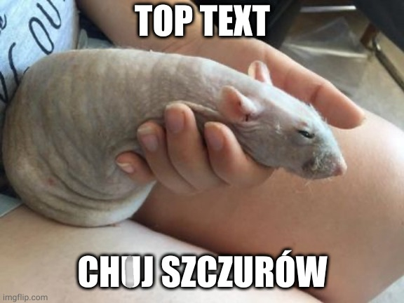 Dzieło sztuki #2443