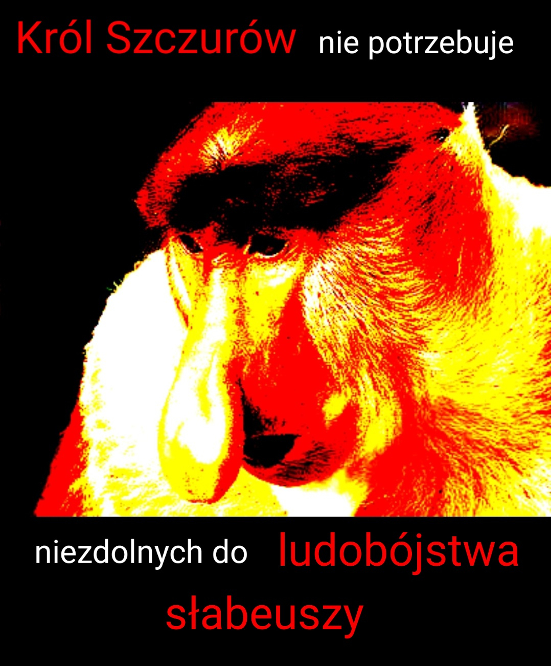 Dzieło sztuki #2460