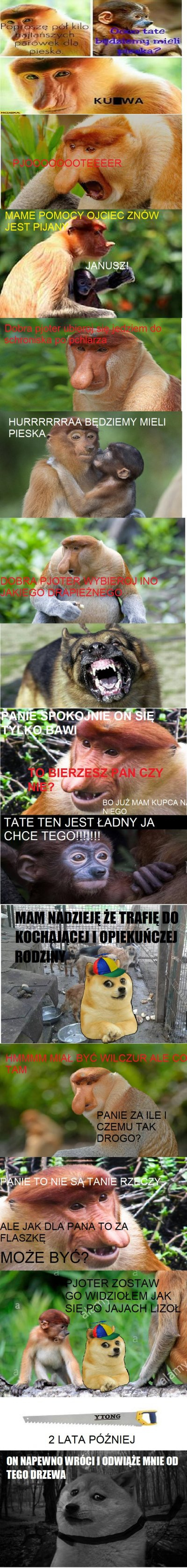 Dzieło sztuki #1161
