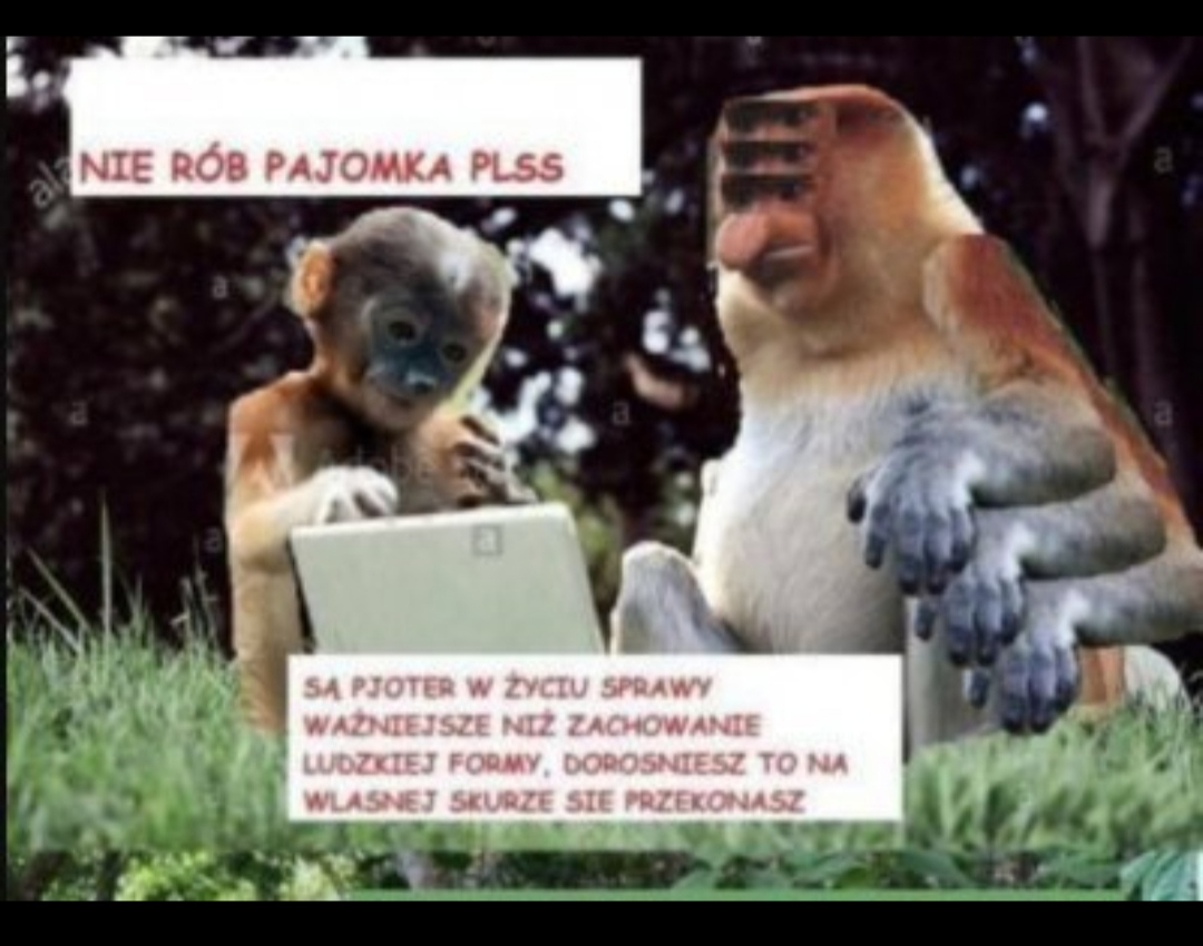 Dzieło sztuki #2590