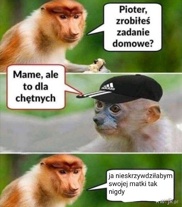 Dzieło sztuki #1751