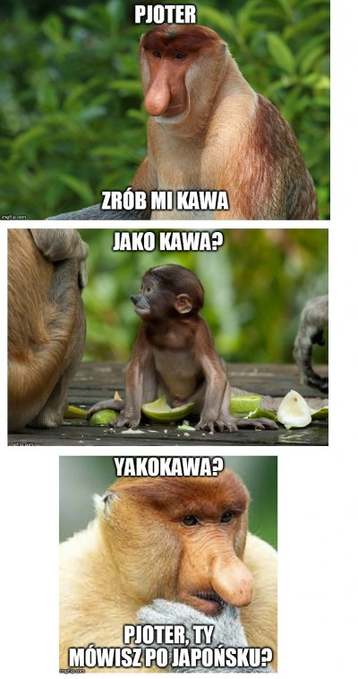 Dzieło sztuki #1323