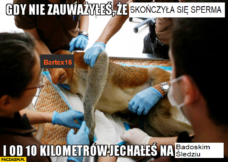 Dzieło sztuki #2350