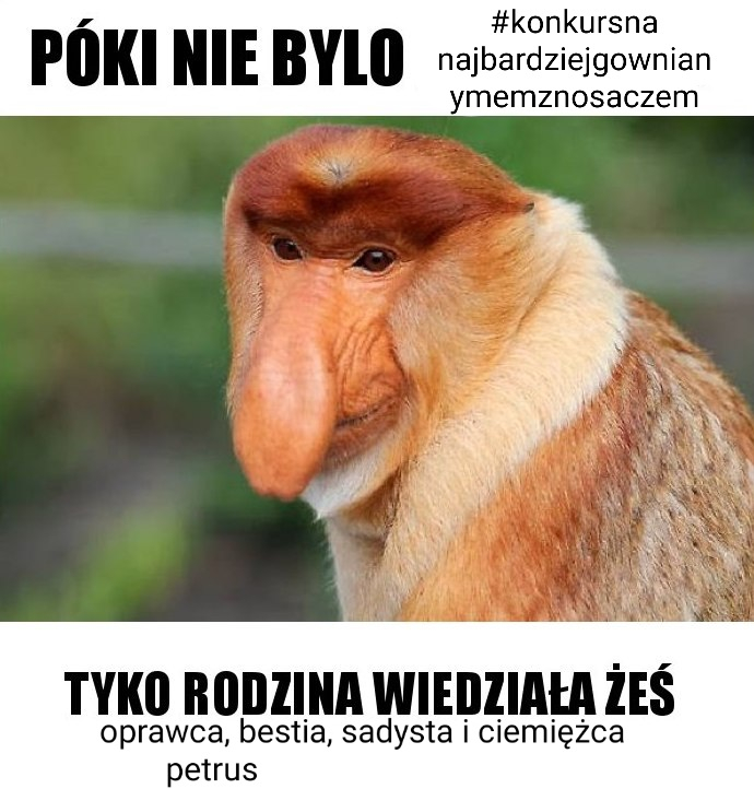 Dzieło sztuki #2485