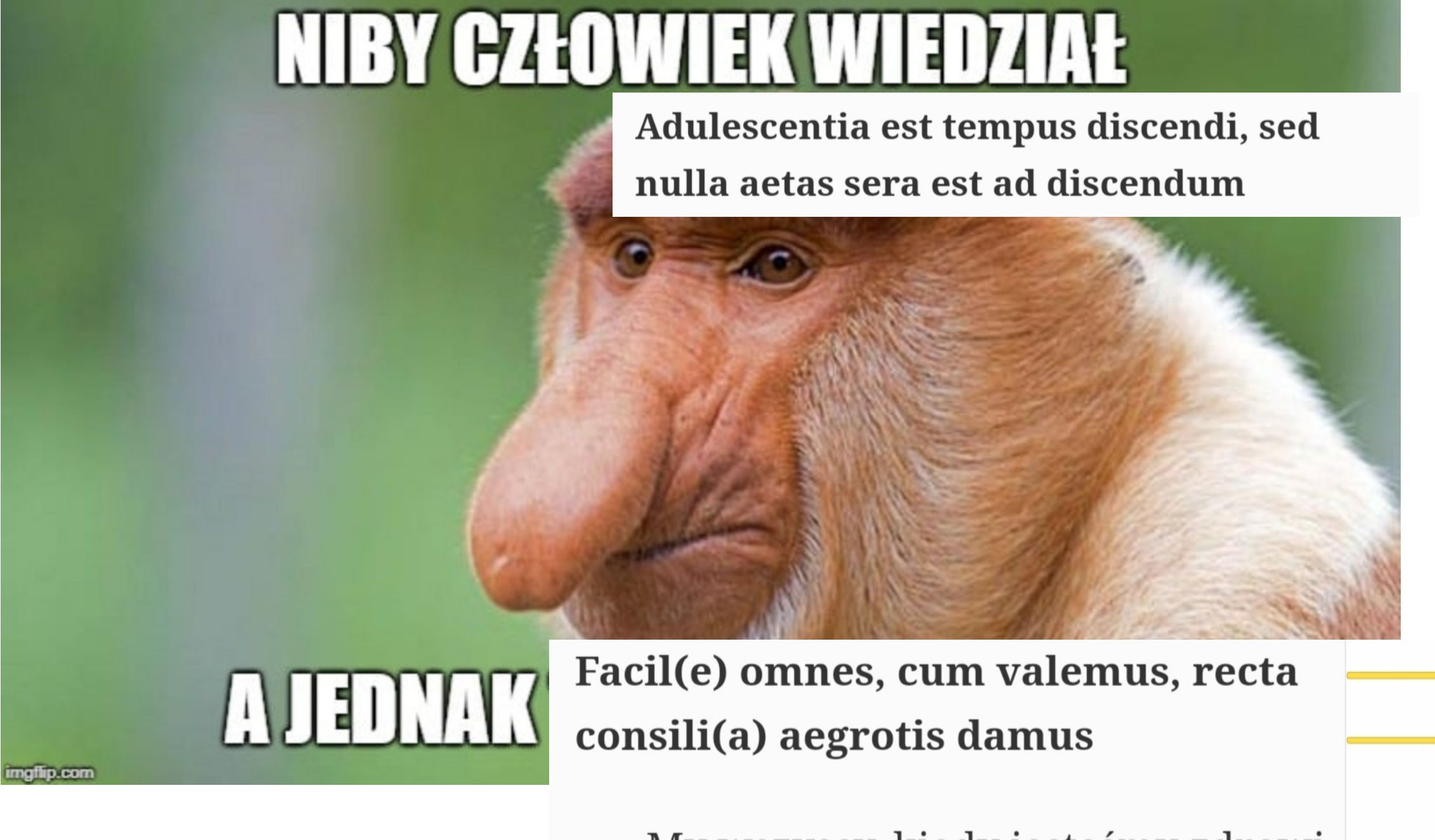 Dzieło sztuki #1962