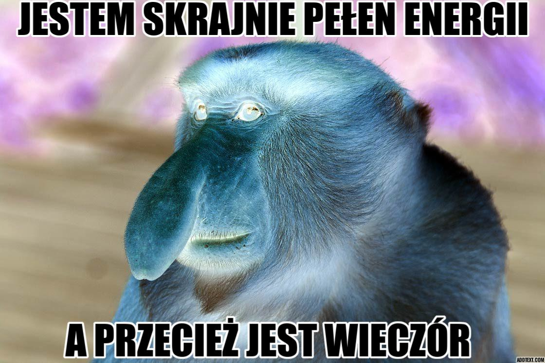 Dzieło sztuki #2503