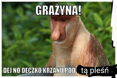 Dzieło sztuki #2551