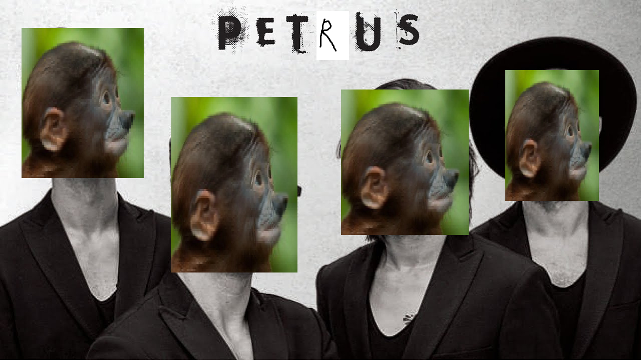 Dzieło sztuki #2558