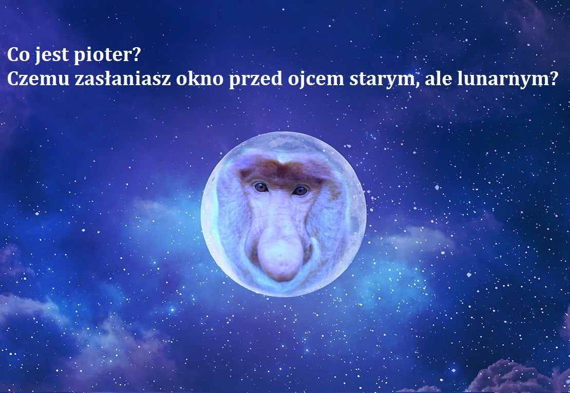 Dzieło sztuki #2858