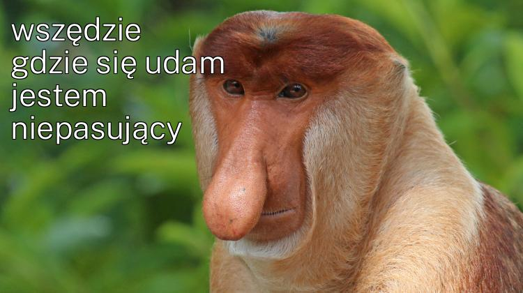 Dzieło sztuki #2873