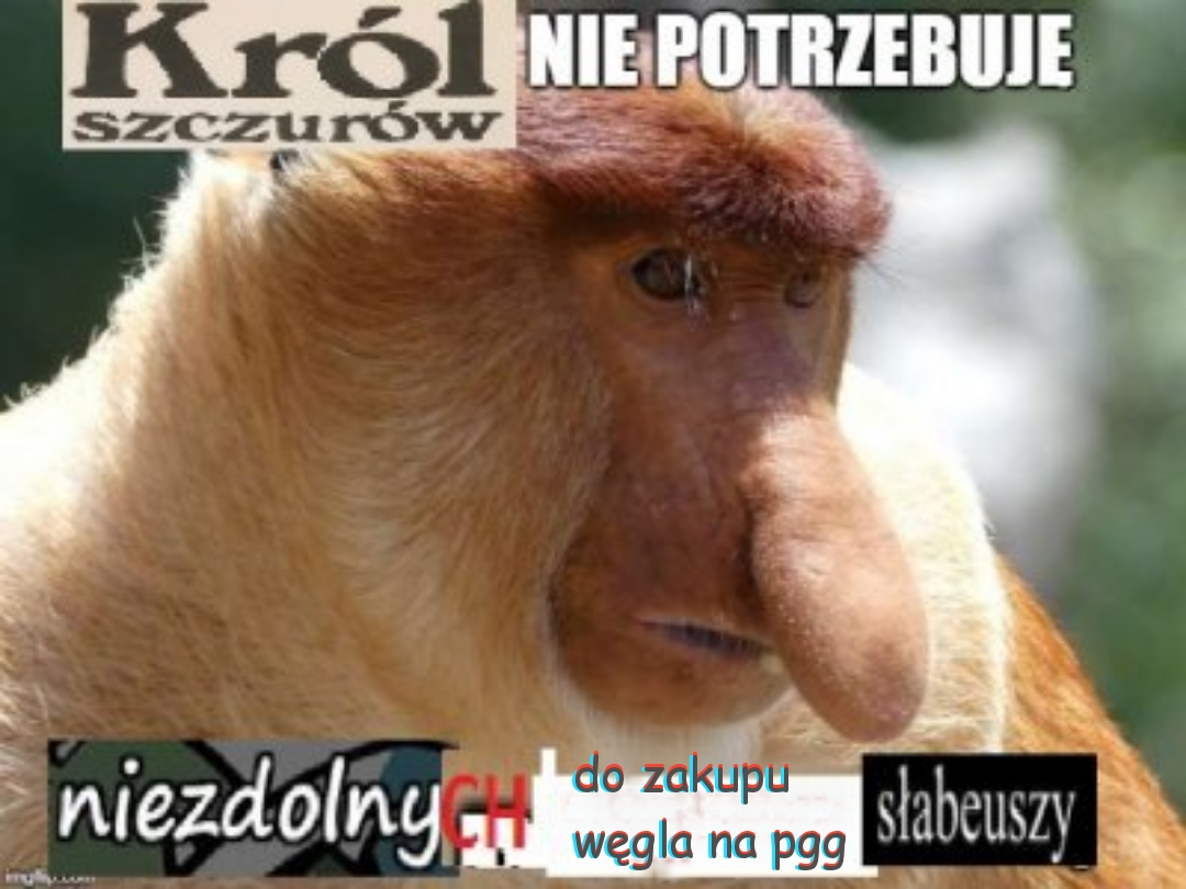 Dzieło sztuki #3200