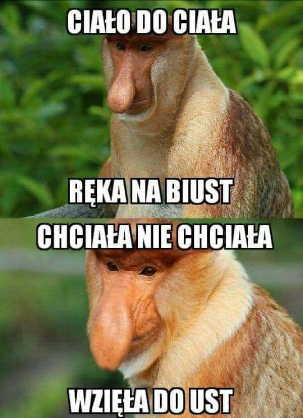 Dzieło sztuki #3923