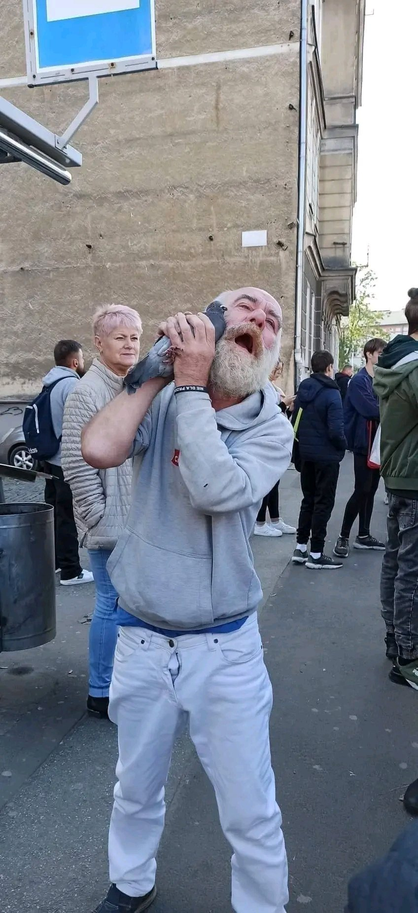 Dzieło sztuki #4309
