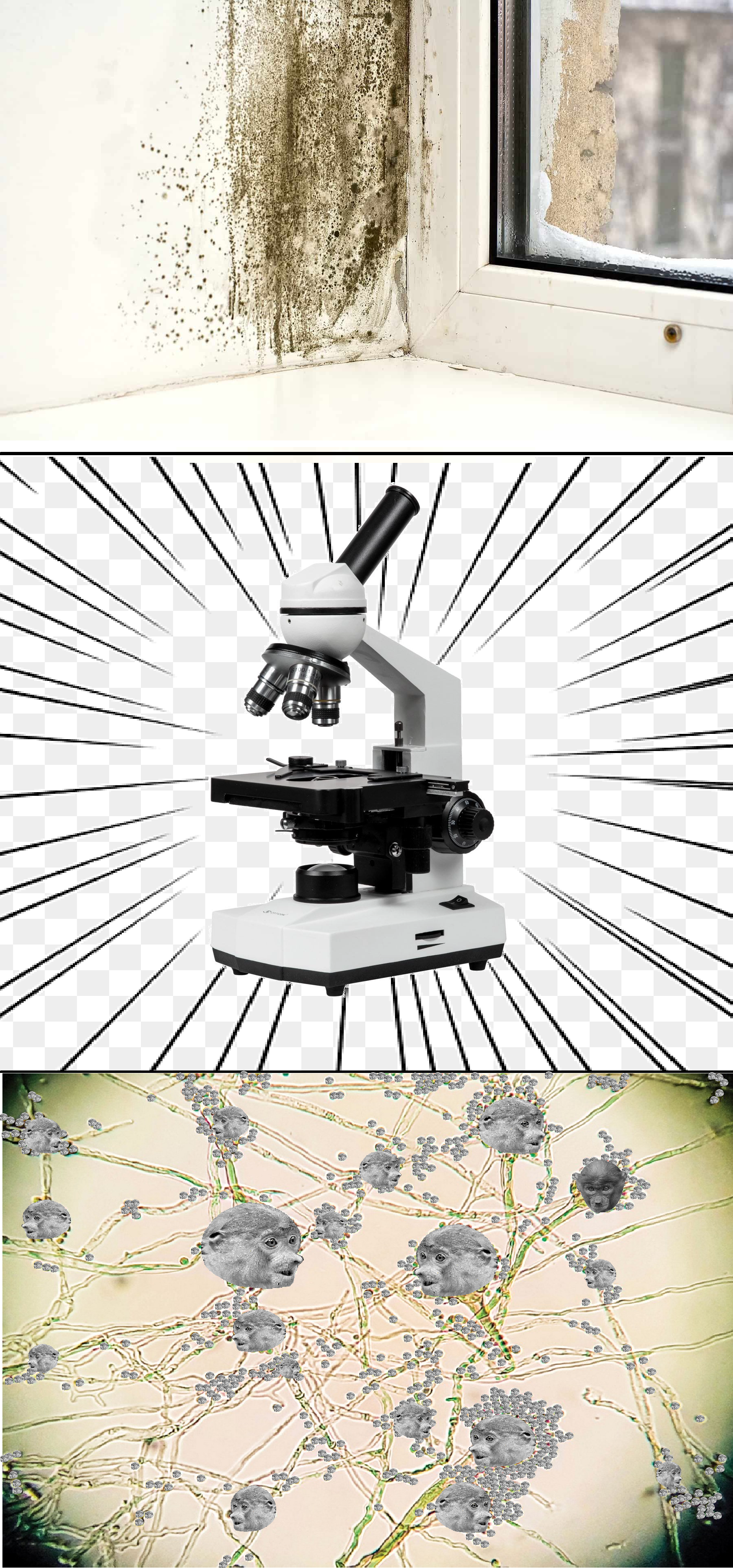 Dzieło sztuki #4601