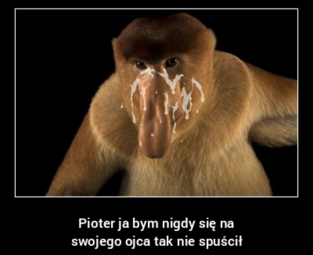 Dzieło sztuki #4628
