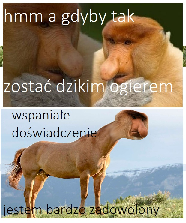 Dzieło sztuki #4719