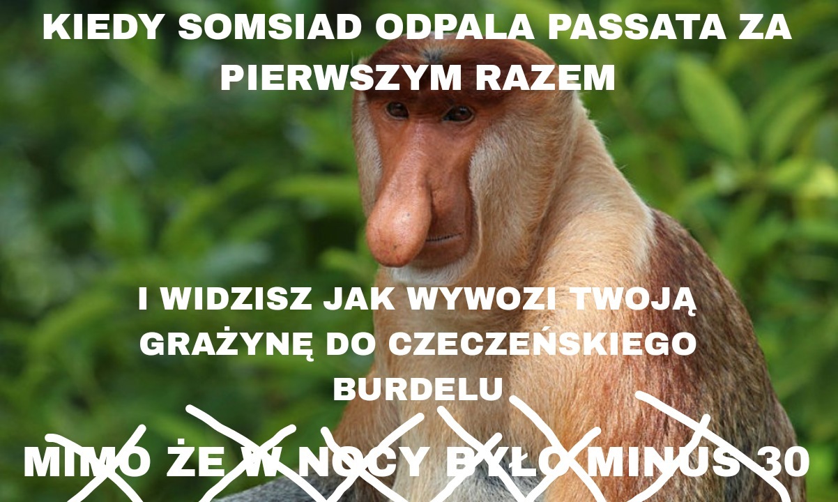 Dzieło sztuki #4818