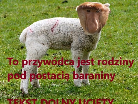 Dzieło sztuki #4974