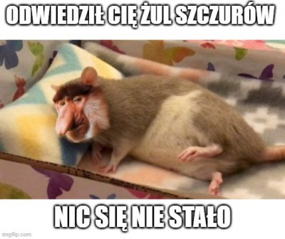 Dzieło sztuki #5144