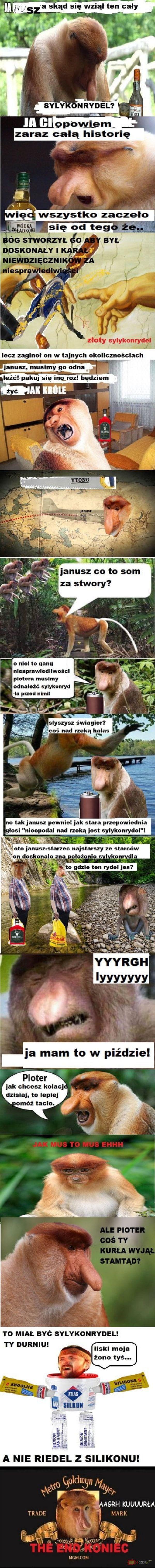 Dzieło sztuki #5393