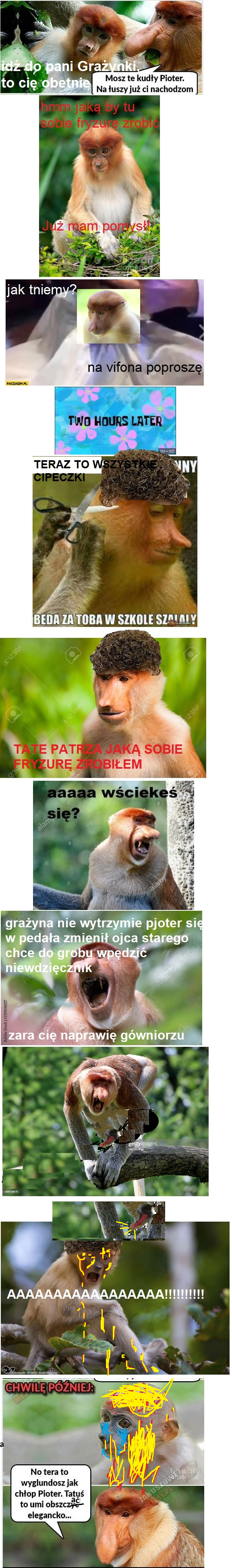 Dzieło sztuki #5420