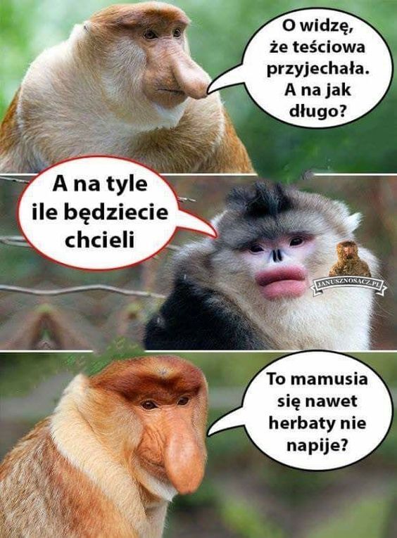 Dzieło sztuki #5750