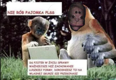 Dzieło sztuki #6050