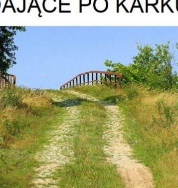 Dzieło sztuki #6162