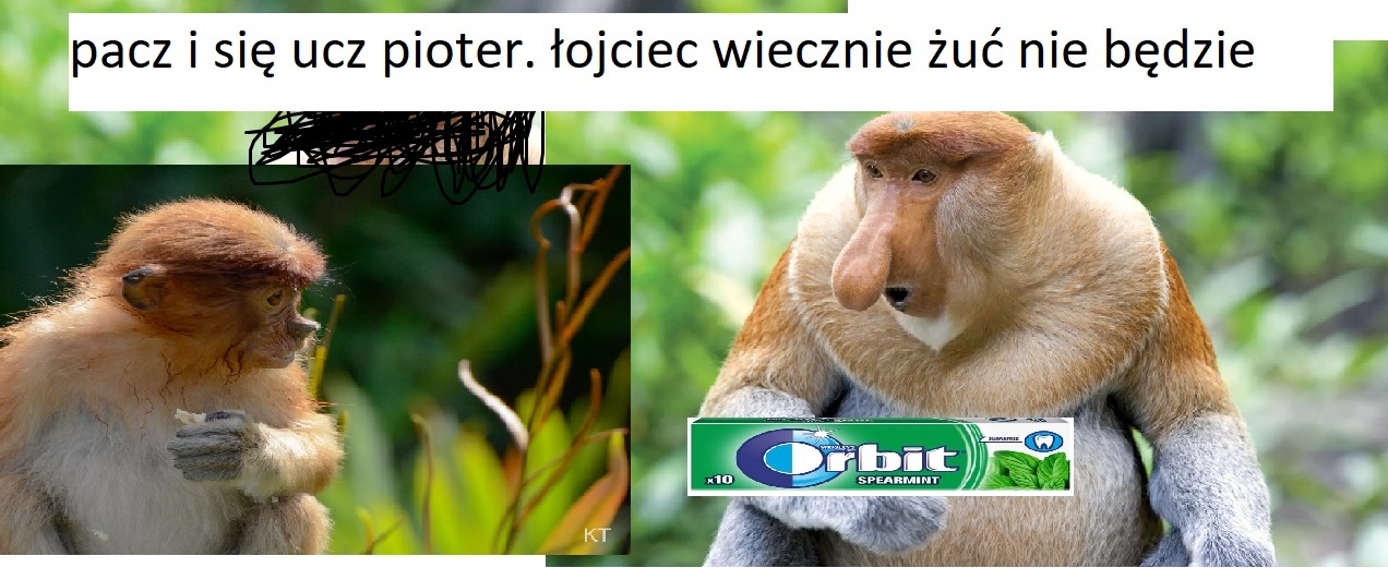 Dzieło sztuki #6216