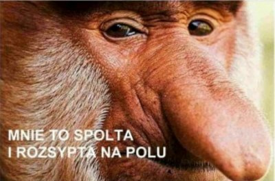 Dzieło sztuki #6364