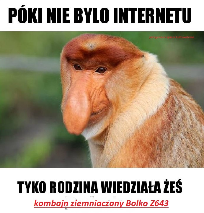 Dzieło sztuki #6518
