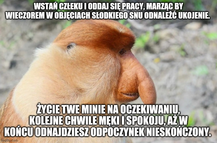 Dzieło sztuki #6764