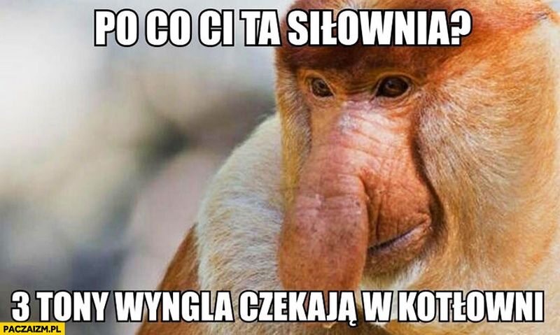 Dzieło sztuki #6803